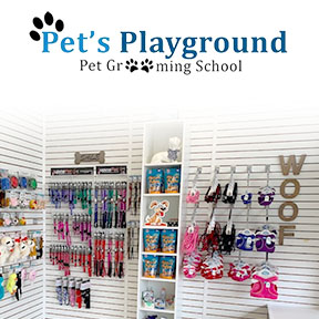 Dog Grooming School in Florida - Grooming Schools for Dogs